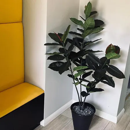 Z Duzymi Tarasami Ogrod Centrum לובלין