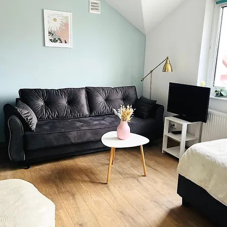 Z Duzymi Tarasami Ogrod Centrum Apartament Lublin
