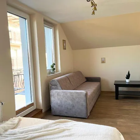 Z Duzymi Tarasami Ogrod Centrum Apartment