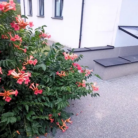 Apartmán Z Duzymi Tarasami Ogrod Centrum *