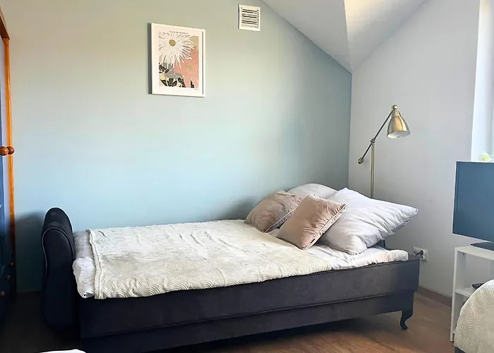 Z Duzymi Tarasami Ogrod Centrum 公寓 *