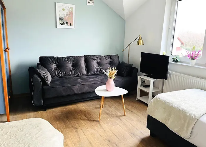 Z Duzymi Tarasami Ogrod Centrum 公寓 卢布林