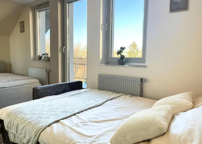 Z Duzymi Tarasami Ogrod Centrum