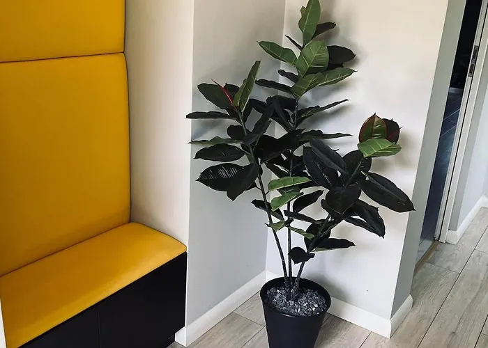 Z Duzymi Tarasami Ogrod Centrum Люблин