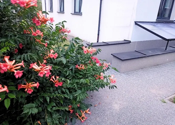 Апартаменты Z Duzymi Tarasami Ogrod Centrum *